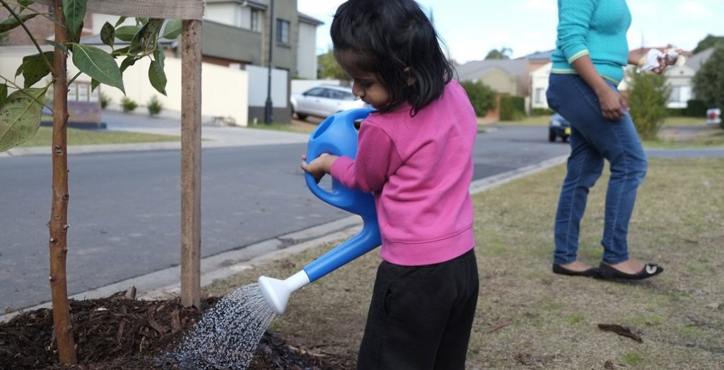 Small child watering a new plant along a suburban street